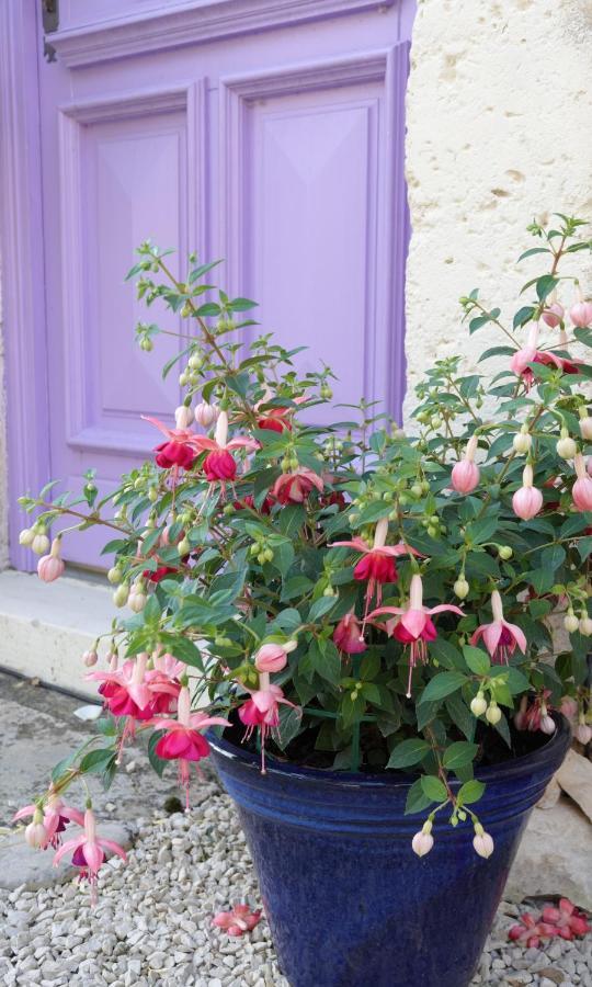 Gite Rural La Maison Mauve Ventouse Ngoại thất bức ảnh